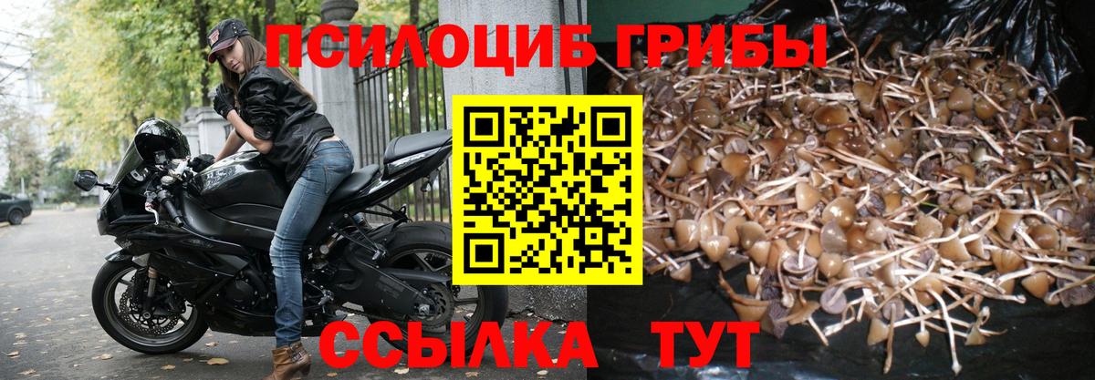 Галлюциногенные грибы MAGIC MUSHROOMS  Псилоцибиновые грибы Cubensis  Вход с VPN  Чайковский 